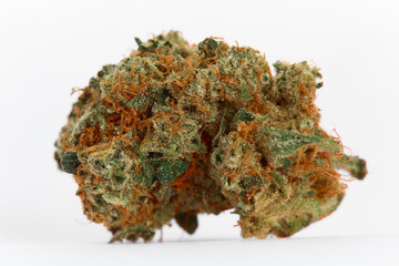 Close up of prescription medical marijuana flower sativa strain on white background