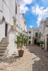 Fototapeta na wymiar Cisternino (Italy) - The historic center of the small and pretty white town of the province of Brindisi, Apulia region, southern Italy