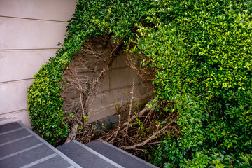 Sky view of city buildings with blue sky at Bangkok Thailand 