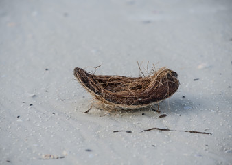 Teile eine Kokosschale, am Strand angespült