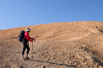 Scenic panorama landscape of Crater Ramon in Negev desert.