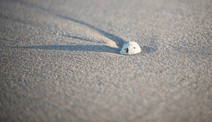 closeup of single rounded rock in the sand