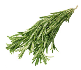 Fototapeta premium Dense long branch rosemary on light background.