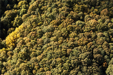 Vue aérienne de la forêt de Rambouillet dans les Yvelines à l'ouest de Paris