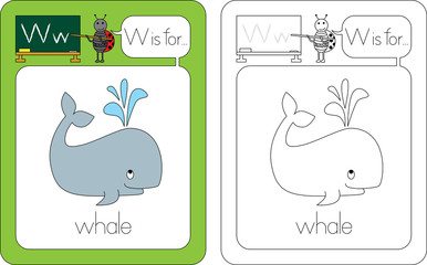 Flashcard letter W