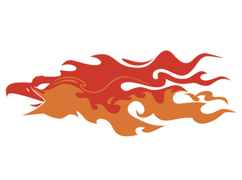 Phoenix in flames vector