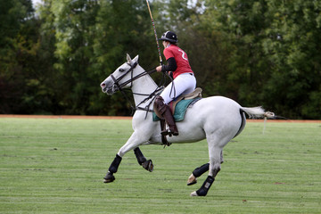 Polospieler auf Pferd w&auml;hrend eines Turniers