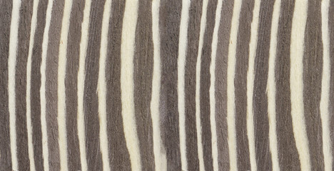 Veneer wood texture for interior design and decoration