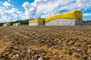 Fershly harvested seed cotton stored in 'bricks' each weighing  around 21,000 pounds, awaiting...