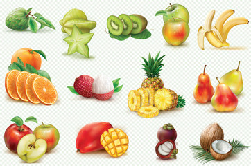 Set with colorful fruits on a transparent background