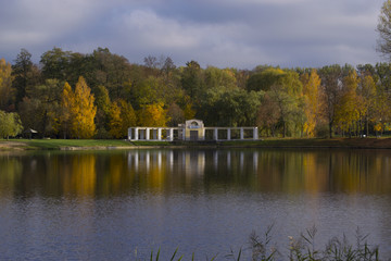 Reflection of autumn trees in a pond
