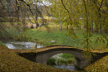 The bridge in the autumn park