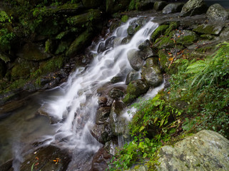 Fototapeta premium OLYMPUS DIGITAL CAMERA