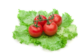 Tomato, cucumber and cayenne pepper isolated