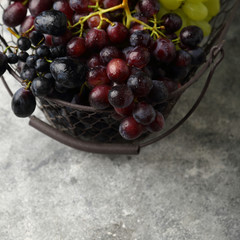 harvest grapes in basket