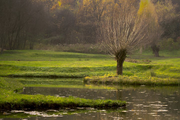 Pejzaż © Jozef