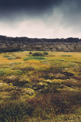 Icelandic Landscape At Thingvellir National Park