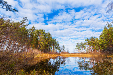 Water autumn landscape. The Ob River, Siberia, Russia