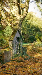 Aachen Ostfriedhof 3
