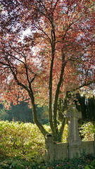 Aachen Ostfriedhof 5