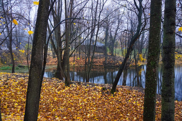 Wooden house shed in the historic Boldino Estate of the Russian poet Pushkin in the fall. Park...