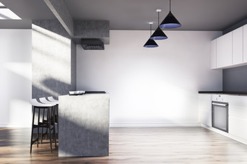 White and gray kitchen interior