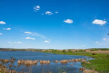 Lake on the background of a beautiful blue sky