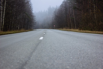 Fototapeta premium Road in the fog
