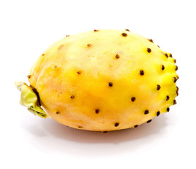 One whole yellow orange prickly pear (opuntia) isolated on white background.