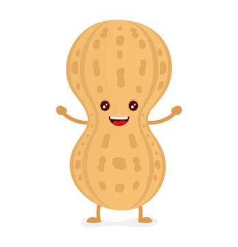 Happy Smiling Cute Peanut. Vector Flat 