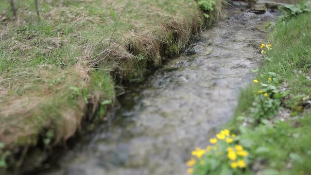 A close-up shot of the little spring head in the mountains.