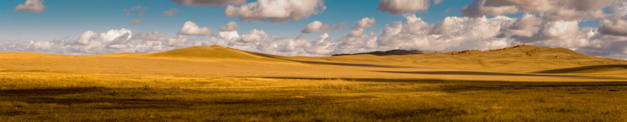 Wide panorama of beautiful autumn field. Majestic open space under dramatic clouds. Kazakh steppe. - obrazy, fototapety, plakaty