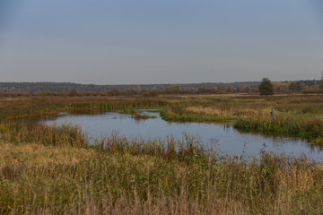 Rozlewiska rzeki w jesiennych kolorach łąk z niebieskim niebem 