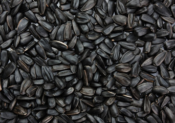 sunflower seeds