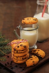 Cookies and milk for Santa / Christmas concept, selective focus