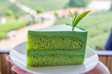 Japannese  dessert - Japannese matcha green tea cake on white disk with green tea farm background