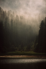 dramatic lake in the fog reflection of trees in water