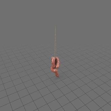 Sausage hanging from string