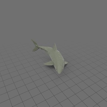 Shark turning while swimming