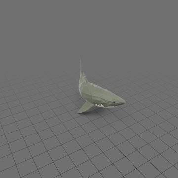 Shark swimming upward
