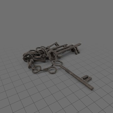 Skeleton keys