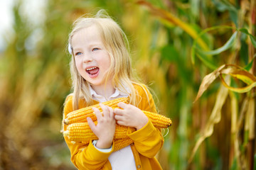 Adorable girl playing in a corn field on beautiful autumn day. Pretty child holding a cob of corn. Harvesting with kids