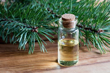 A bottle of pine essential oil with pine branches