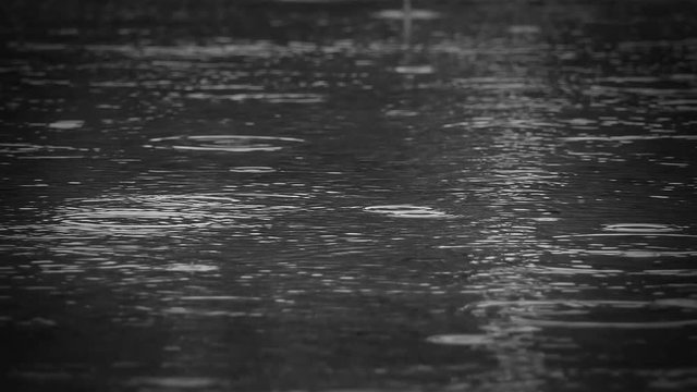 closeup rain on water surface full hd. Closeup shot of heavy rain on road 4k. Epic dramatic rain background black and white. Epic nature background with copy space. ecology and environment concept.
