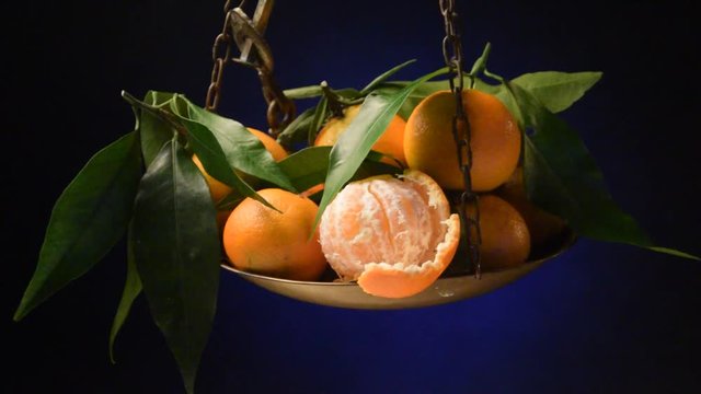 Citrus &times; clementina Clementine Fruto Clementin c&iacute;trico Agrume h&iacute;brido Mandarino Клементин Klementiini Klementina video agrum فاكهة Mandarinka كليمونتين 