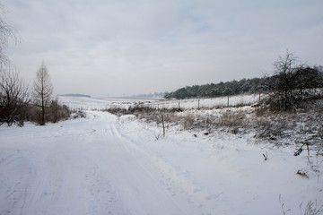 Naklejka premium Winter landscape in the Podlasie region of Poland
