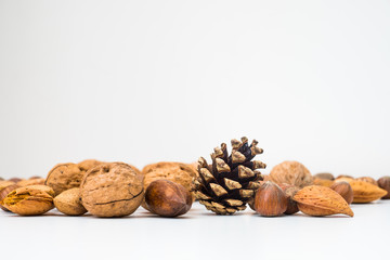 A selection of various nuts for consumption