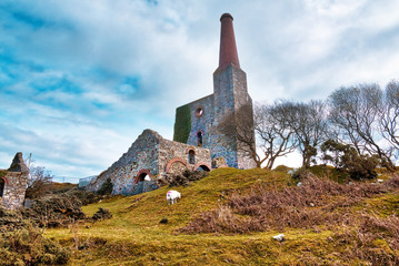 Old Ruined Tin Mine, old ruined granite buildings set on Dartmoor.. Dartmoor National Park