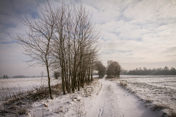 Winter landscape in the Podlasie region of Poland