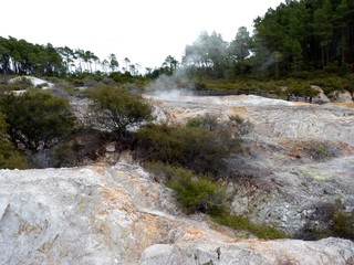 landscape of hot geotermal area with colored water and mud, New Zealand